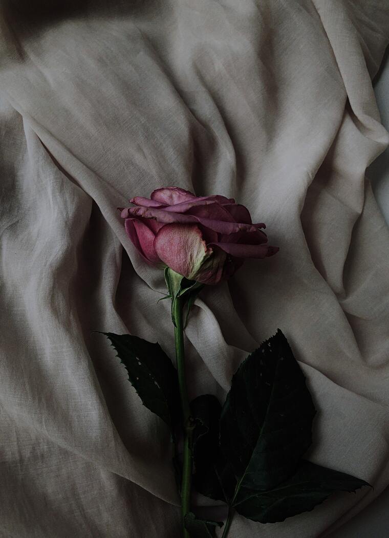 imagen para La tortura - Shakira ft. Alejandro Sanz