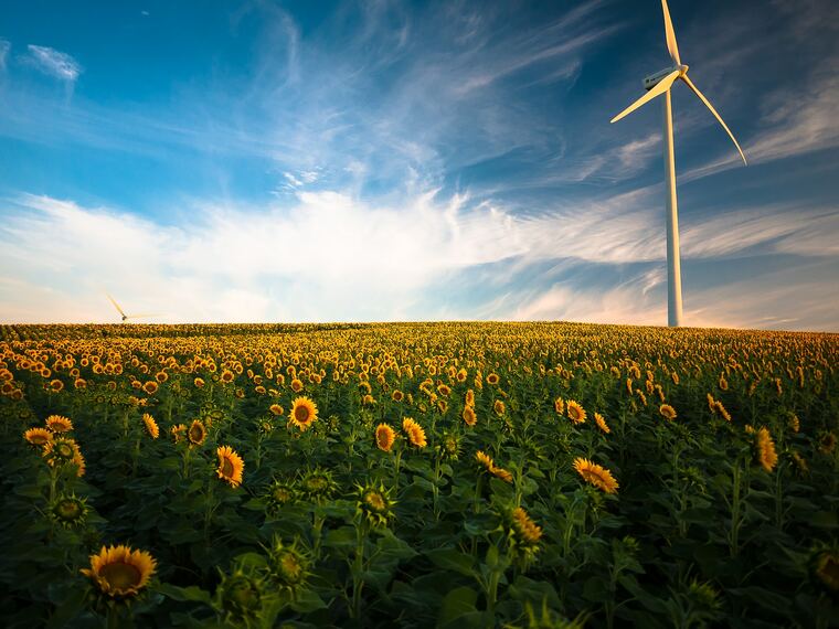 imagen para Ecología y medio ambiente - Vocabulario en español