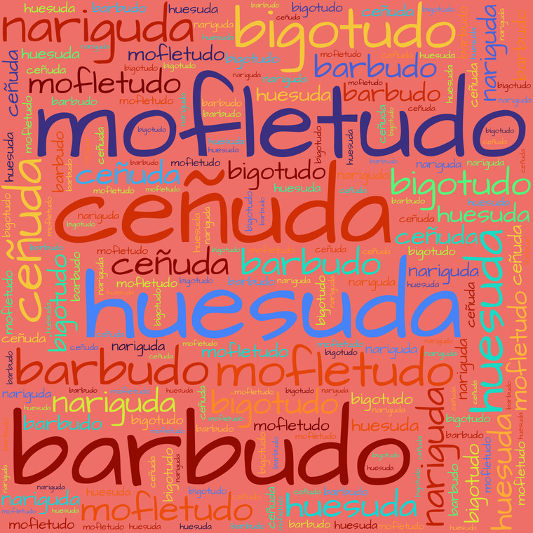 imagen para Adjetivos acabados en -udo, uda