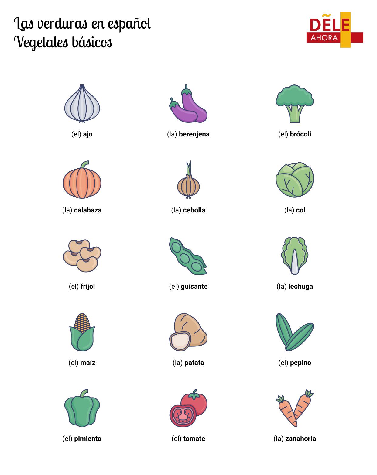 Las verduras en español Vegetales básicos Vocabulario